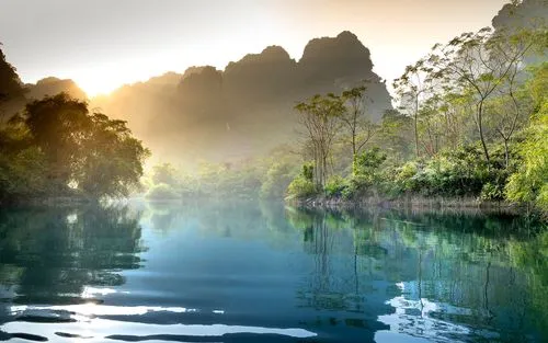 先进高端